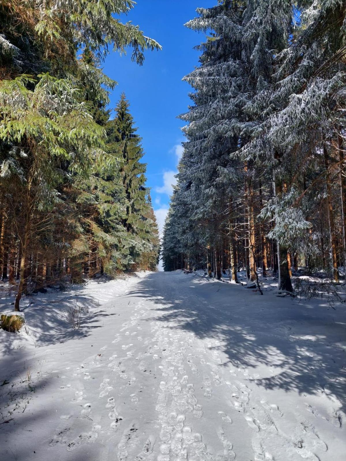 Das Waldhaus Bad Berleburg Dış mekan fotoğraf